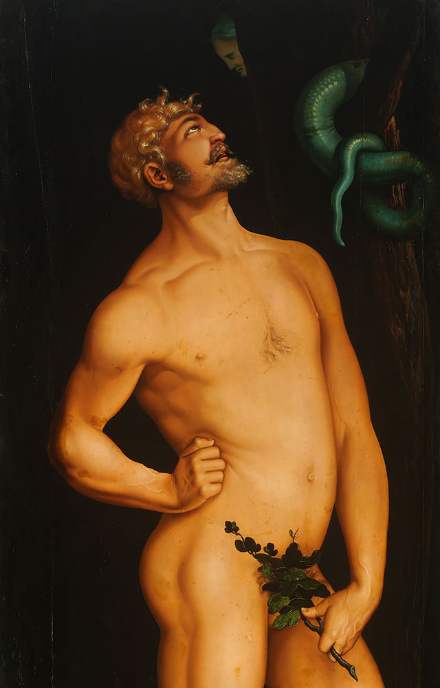 Adam by Hans Baldung Grien - Art Print - Zapista