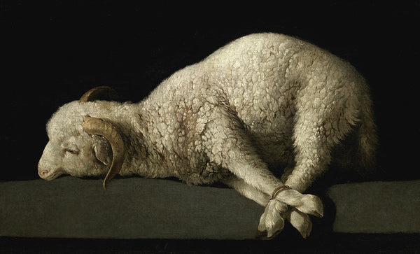 Agnus Dei by Francisco de Zurbarán - Art Print - Zapista