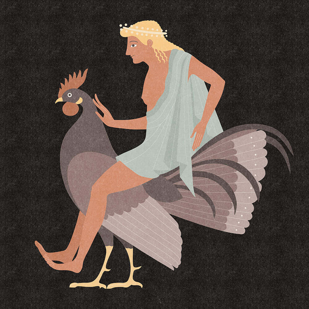 Alectryon - Art Print - Zapista