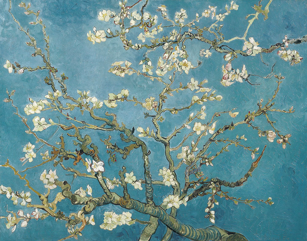 Almond Blossoms by Vincent van Gogh - Art Print - Zapista