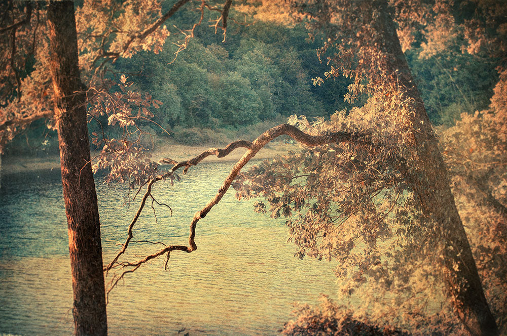 Autumn Manifesto - Art Print - Zapista