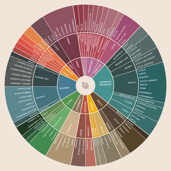 Beer Flavor Wheel - Art Print - Zapista