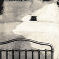 A monochrome artwork depicting a black cat peeking out from a bed with white bedding and dark metal bed rails, rendered in a sketch-like style against a dark background.