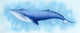 Blue Whale - Art Print - Zapista