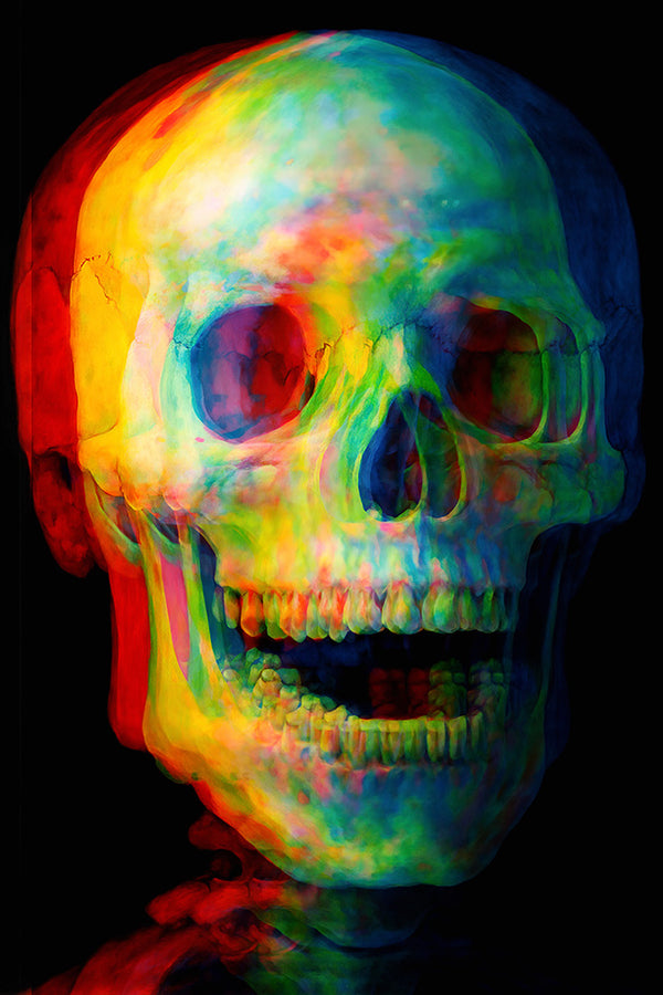 Chromagnon - Art Print - Zapista