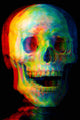 Chromagnon - Art Print - Zapista