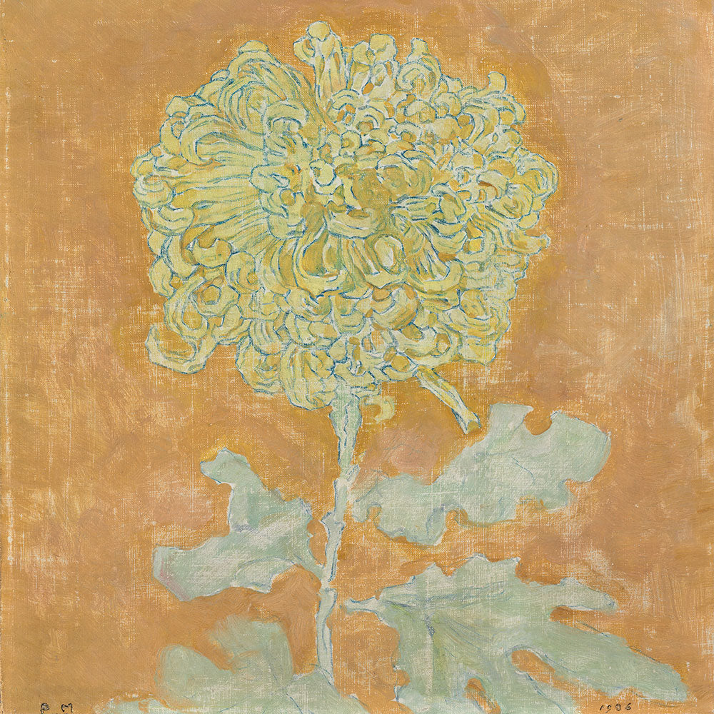 Chrysanthemum by Piet Mondrian - Art Print - Zapista