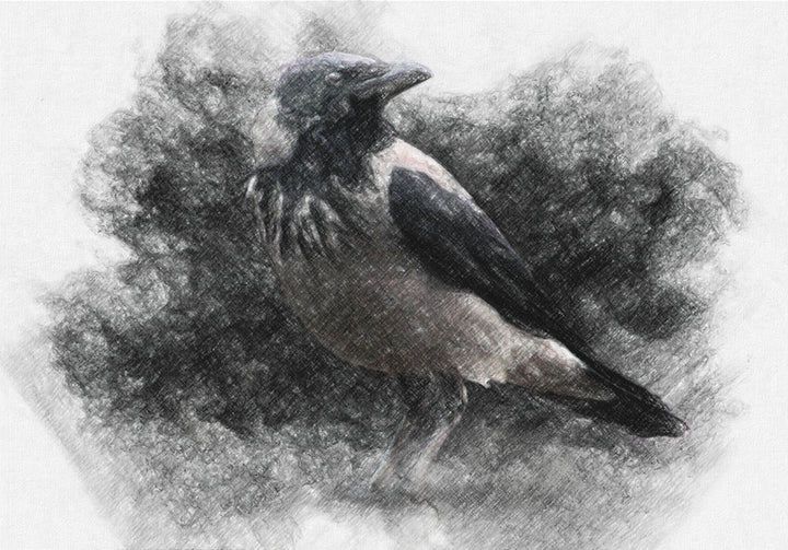 Crow - Art Print - Zapista