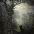 Deer in the Forest by Eugen Kruger - Art Print - Zapista