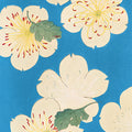Dogwood Blossoms on Blue by Japanese School - Art Print - Zapista