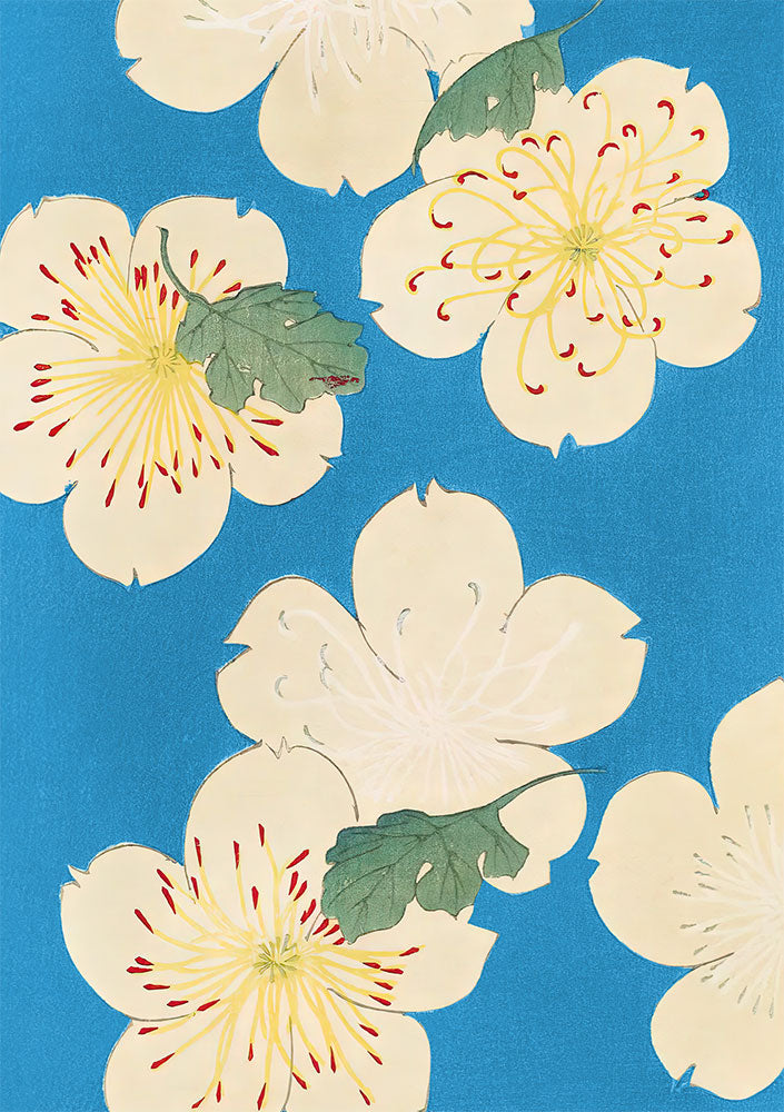 Dogwood Blossoms on Blue by Japanese School - Art Print - Zapista