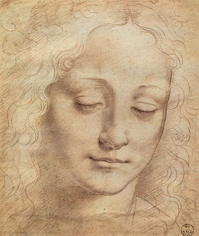 Female Head by Leonardo da Vinci - Art Print - Zapista