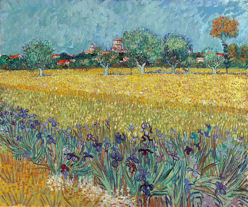 Field with Irises near Arles by Vincent van Gogh - Art Print - Zapista