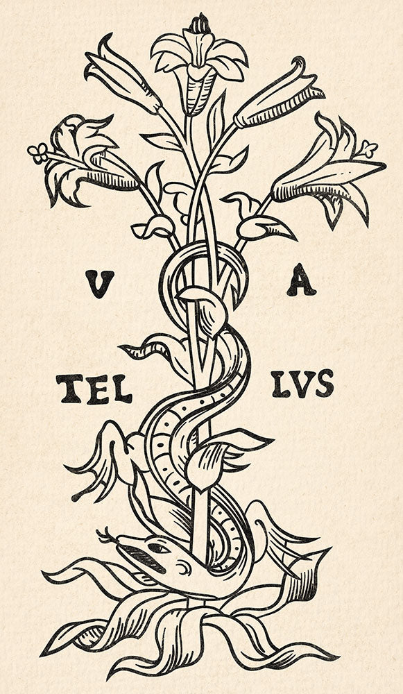Flora Obscura - Art Print - Zapista