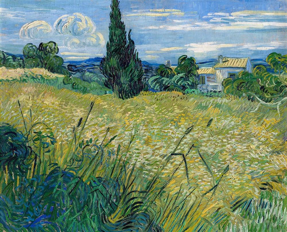 Green Wheat Field with Cypress by Vincent van Gogh - Art Print - Zapista