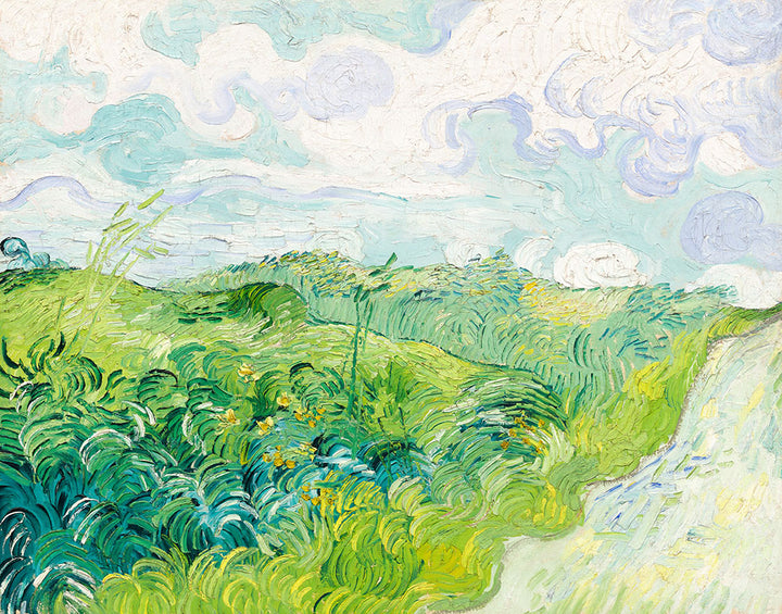 Green Wheat Fields, Auvers by Vincent van Gogh - Art Print - Zapista