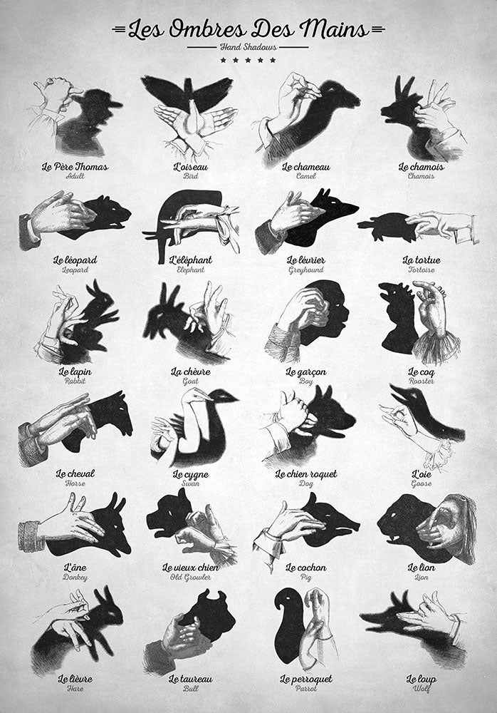 Hand Shadows - Art Print - Zapista