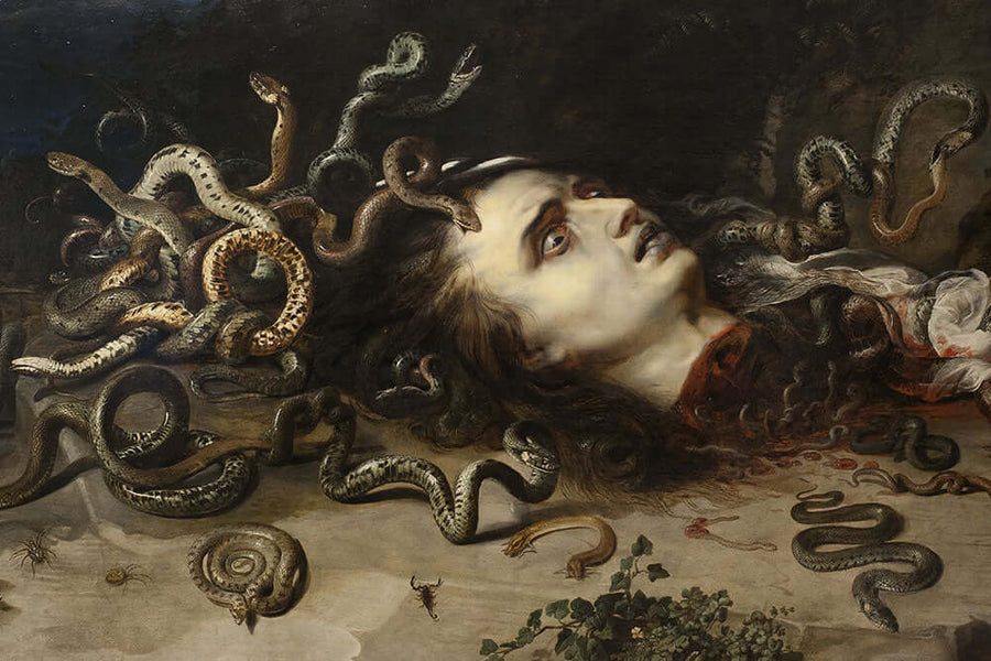Head of Medusa by Peter Paul Rubens - Art Print - Zapista
