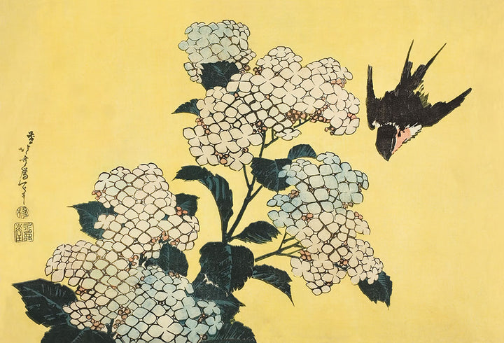 Hydrangea and Swallow, from an untitled series of large flowers by Katsushika Hokusai - Art Print - Zapista