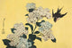 Hydrangea and Swallow, from an untitled series of large flowers by Katsushika Hokusai - Art Print - Zapista