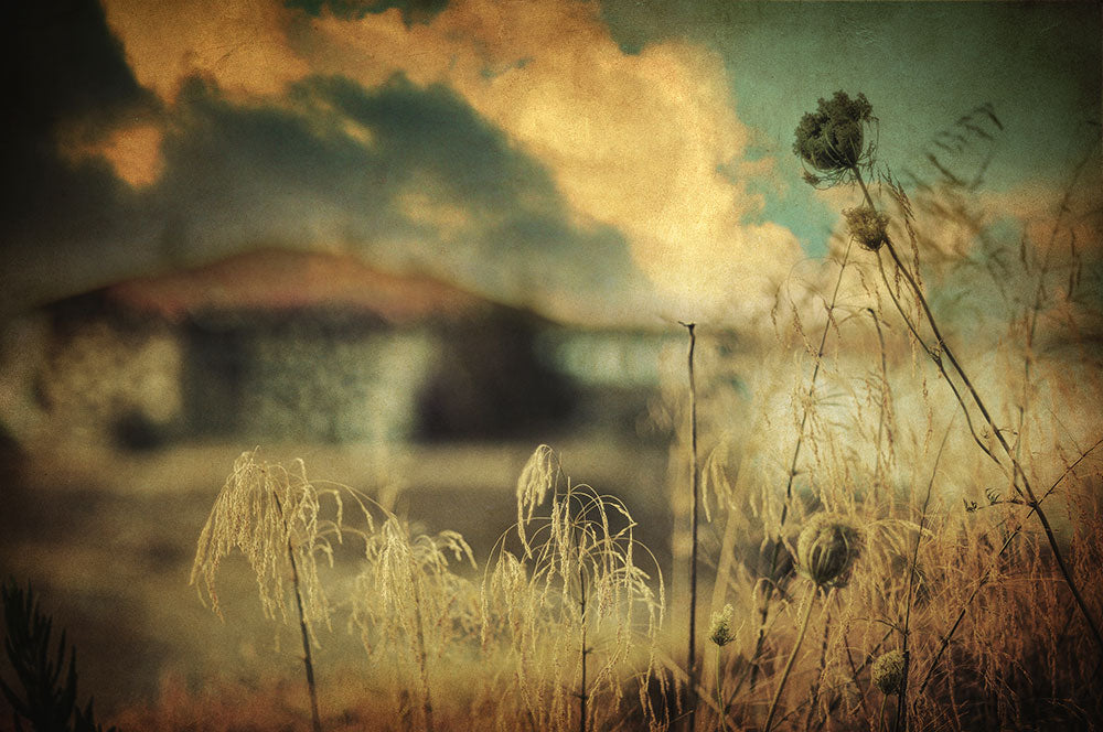 Into Deep Sleep - Art Print - Zapista