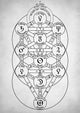 Kabbalah Tree of Life - Art Print - Zapista