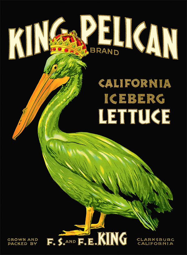 King Pelican Iceberg Lettuce - Art Print - Zapista