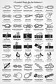 Essential Knots for the Outdoors - Art Print - Zapista