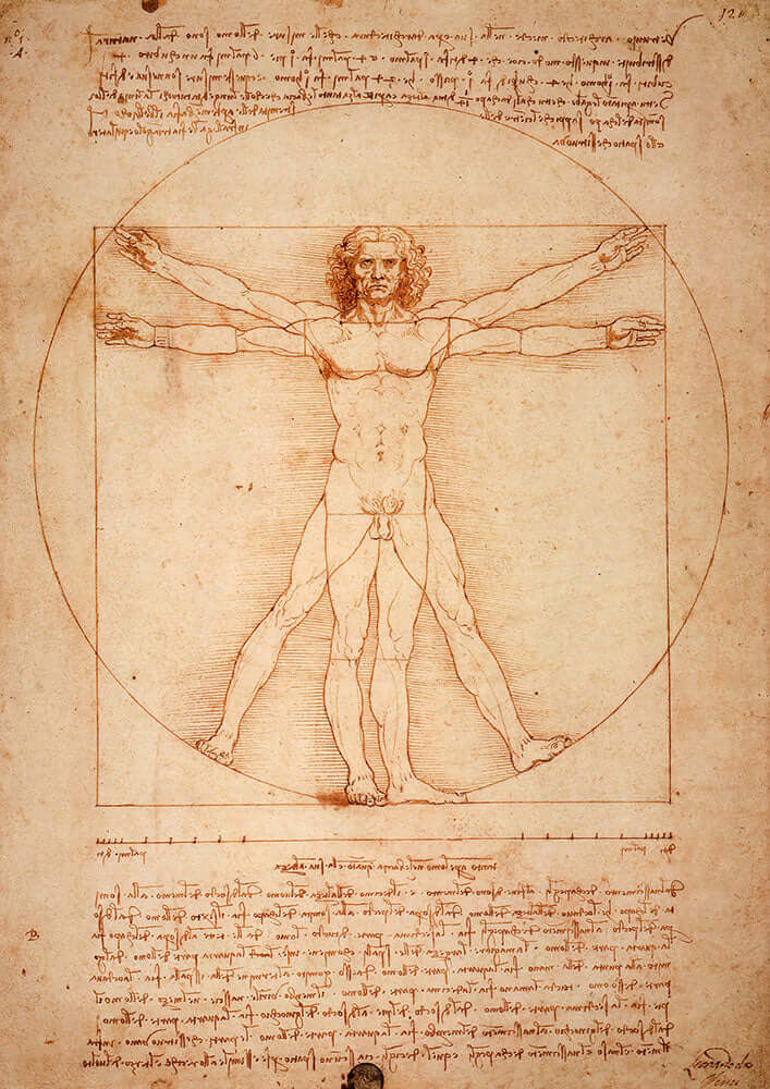 Vitruvian Man by Leonardo da Vinci - Art Print - Zapista