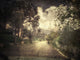 La Pluie - Art Print - Zapista
