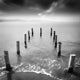 Long Silence - Art Print - Zapista