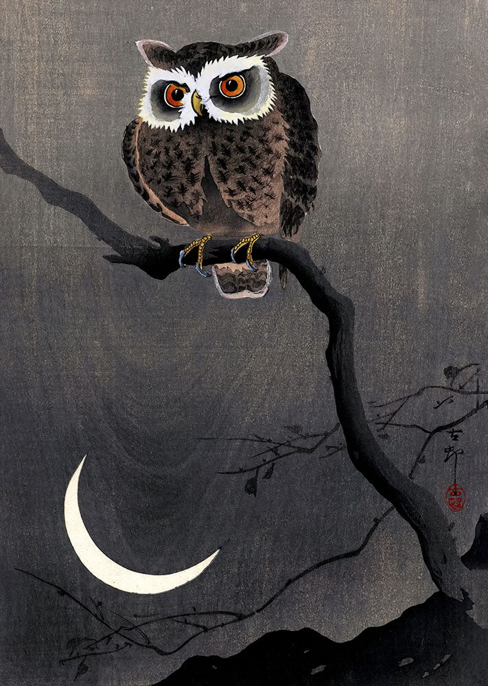 Long Eared Owl on Bare Tree Branch by Ohara Koson - Art Print - Zapista