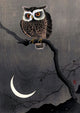 Long Eared Owl on Bare Tree Branch by Ohara Koson - Art Print - Zapista