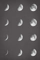 Lunar phases - Art Print - Zapista