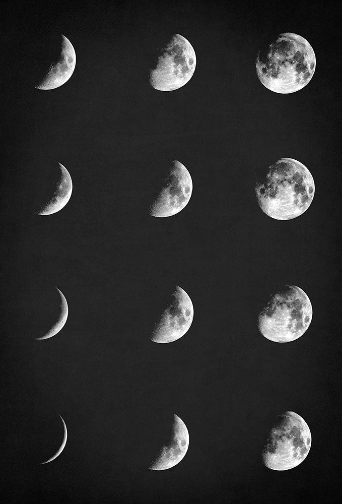 Lunar phases - Art Print - Zapista