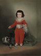 Manuel Osorio Manrique de Zuniga by Francisco Goya - Art Print - Zapista