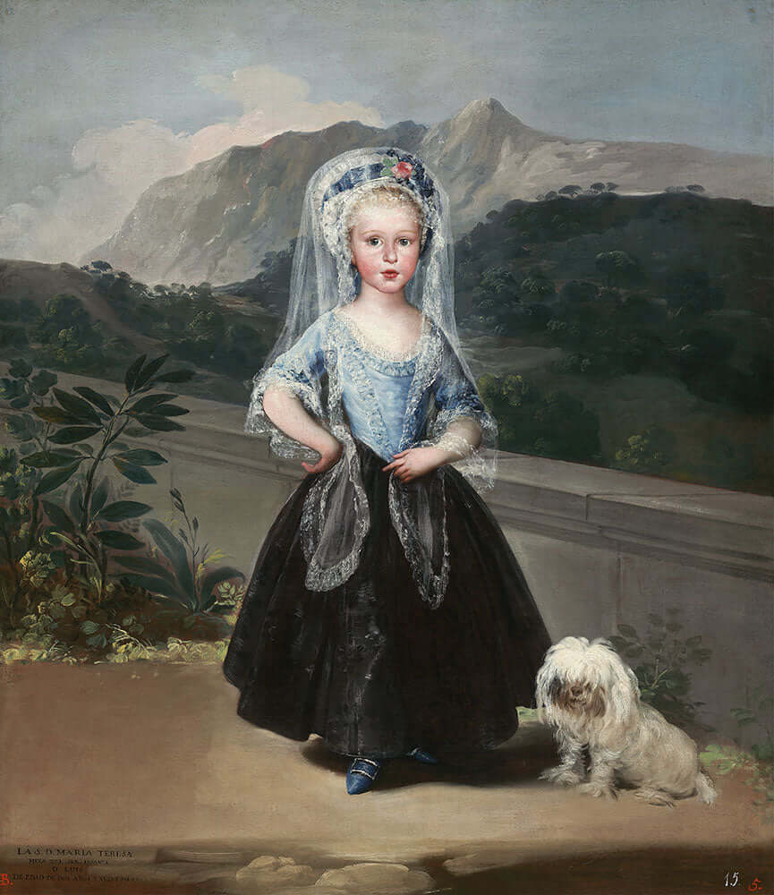 Maria Teresa de Borbon y Vallabriga, later Condesa de Chinchon by Francisco Goya - Art Print - Zapista