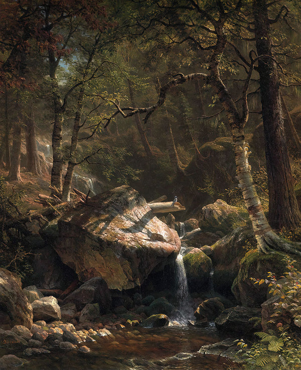Mountain Brook by Albert Bierstadt - Art Print - Zapista