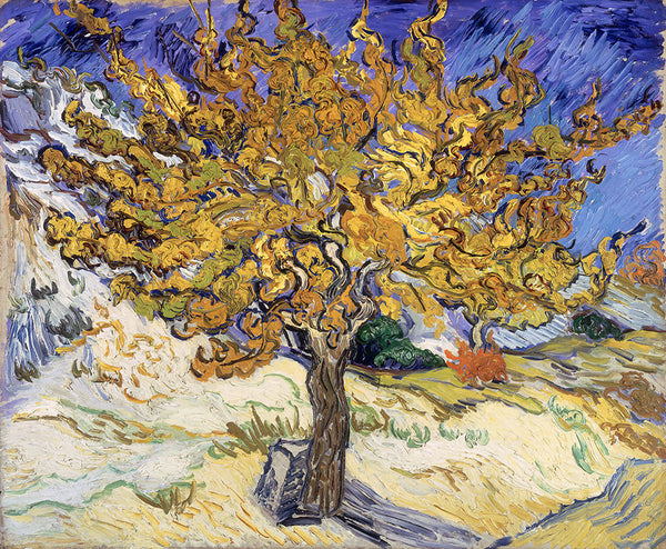 The Mulberry Tree by Vincent van Gogh - Art Print - Zapista