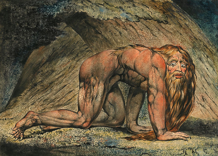 Nebuchadnezzar by William Blake - Art Print - Zapista