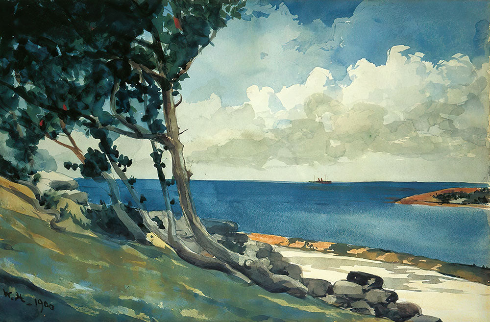 North Road, Bermuda by Winslow Homer - Art Print - Zapista