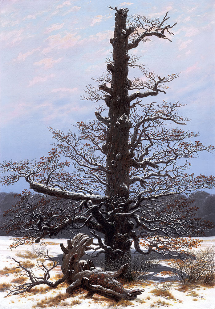 Oak Tree in the Snow by Caspar David Friedrich - Art Print - Zapista