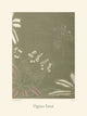 Ōyō Manga, Botanical Study by Ogino Issui - Art Print - Zapista