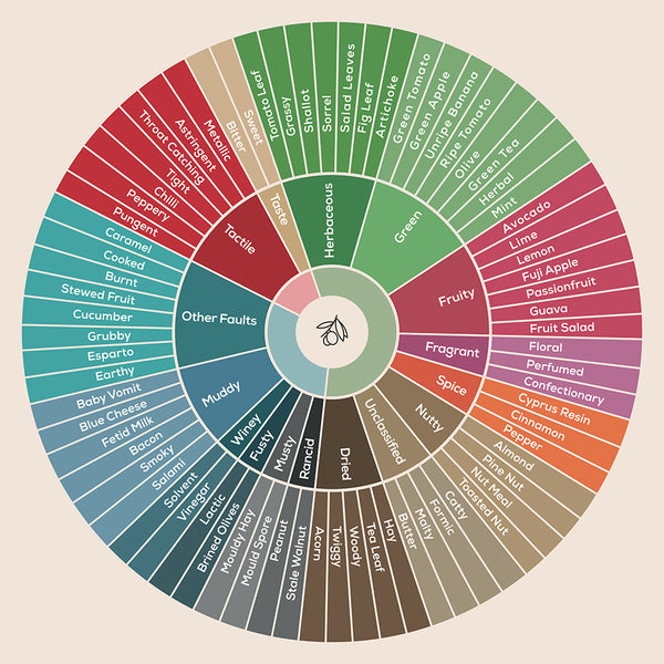 Olive Oil Tasting Wheel - Art Print - Zapista