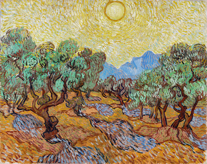 Olive Trees with Yellow Sky and Sun by Vincent van Gogh - Art Print - Zapista