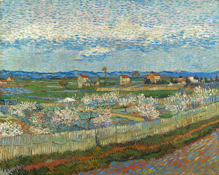 Peach Trees in Blossom by Vincent van Gogh - Art Print - Zapista