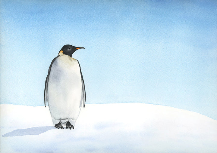 Penguin watercolor - Art Print - Zapista
