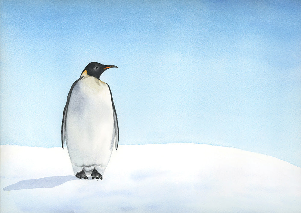 Penguin watercolor - Art Print - Zapista