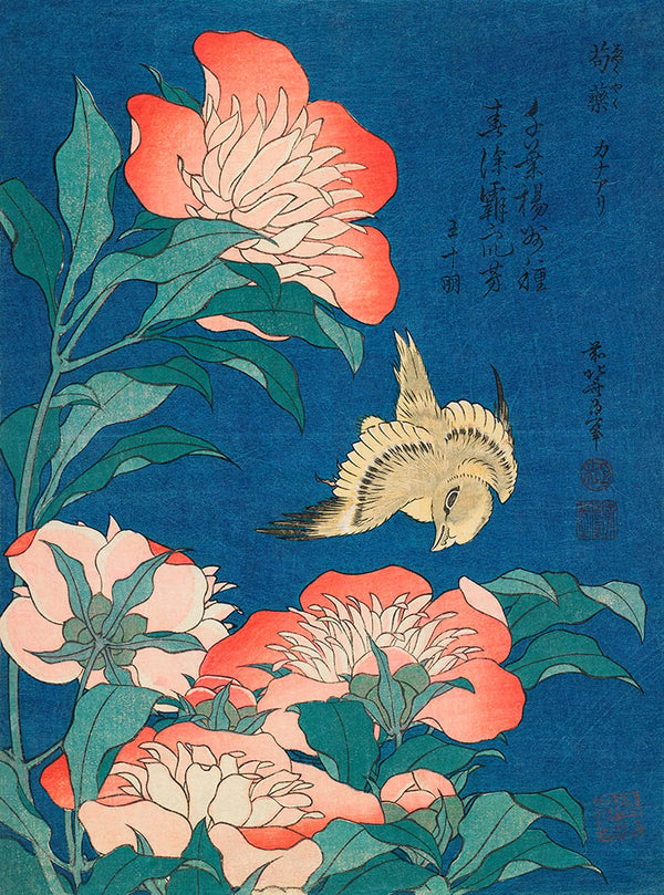 Peonies and Canary (Shakuyaku, kanaari), from an untitled series known as Small Flowers by Katsushika Hokusai - Art Print - Zapista