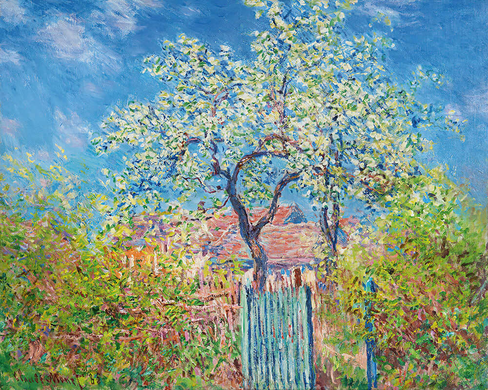 Poirier En Fleurs by Claude Monet - Art Print - Zapista